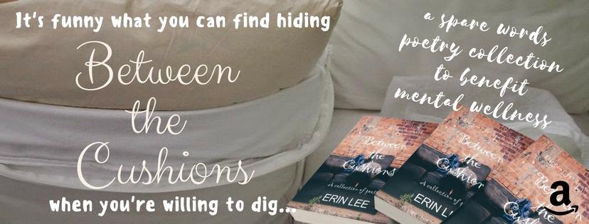 Erin Lee - Between the Cushions Banner2
