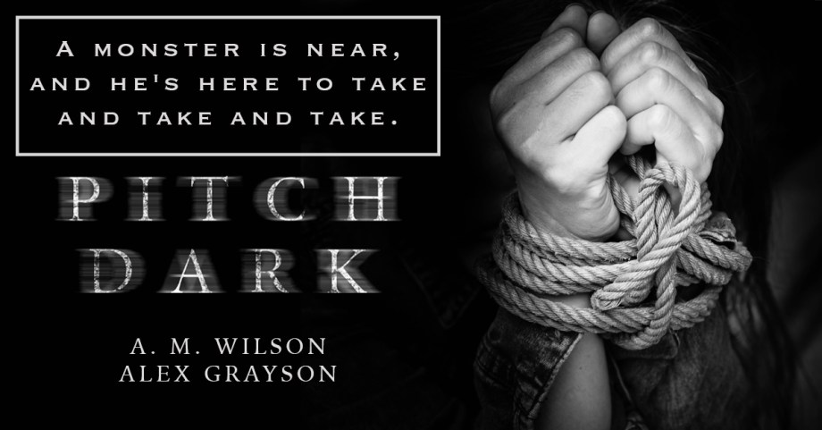 Cover Reveal PD Teaser