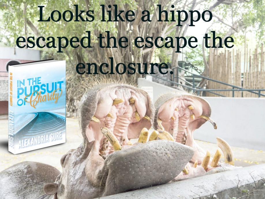 Two hungry hippopotamus open their mouth waiting for food