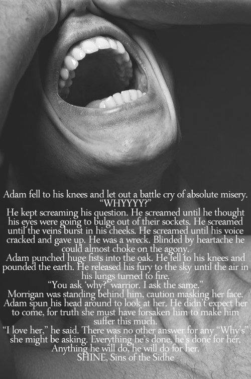 DD97D041-DA1B-4782-B7DC-7C74EDA388D2