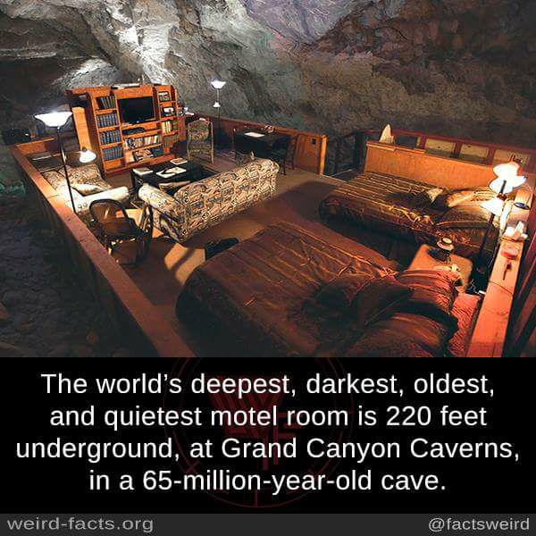 17264913_10212444152400180_7340709063892573410_n