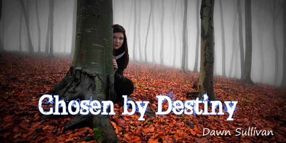 20617181_141139823142009_2340477124623054524_o