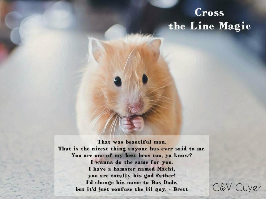 27788399_1740243692664905_1018000338248056578_o