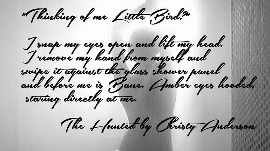 12063637_965534346840106_1589644890513420254_n