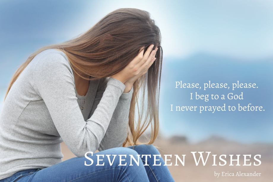 16402752_1637440486561157_4753577120497589067_o