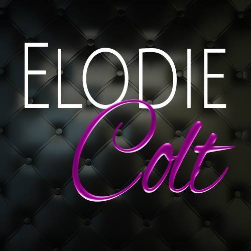 17426389_1491332120890532_6242554690852215878_n