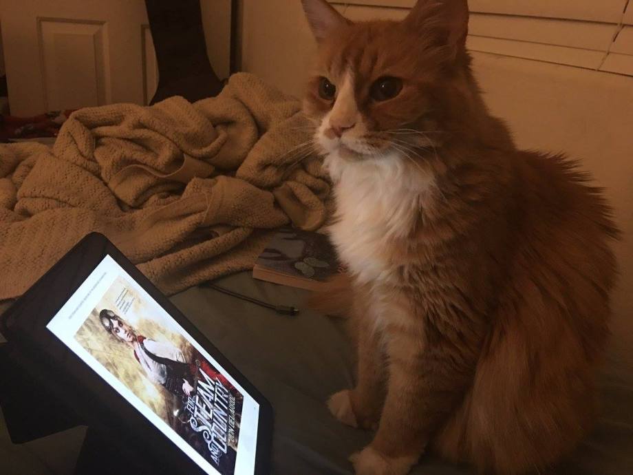 19144184_758379614287330_1731181319813379923_o