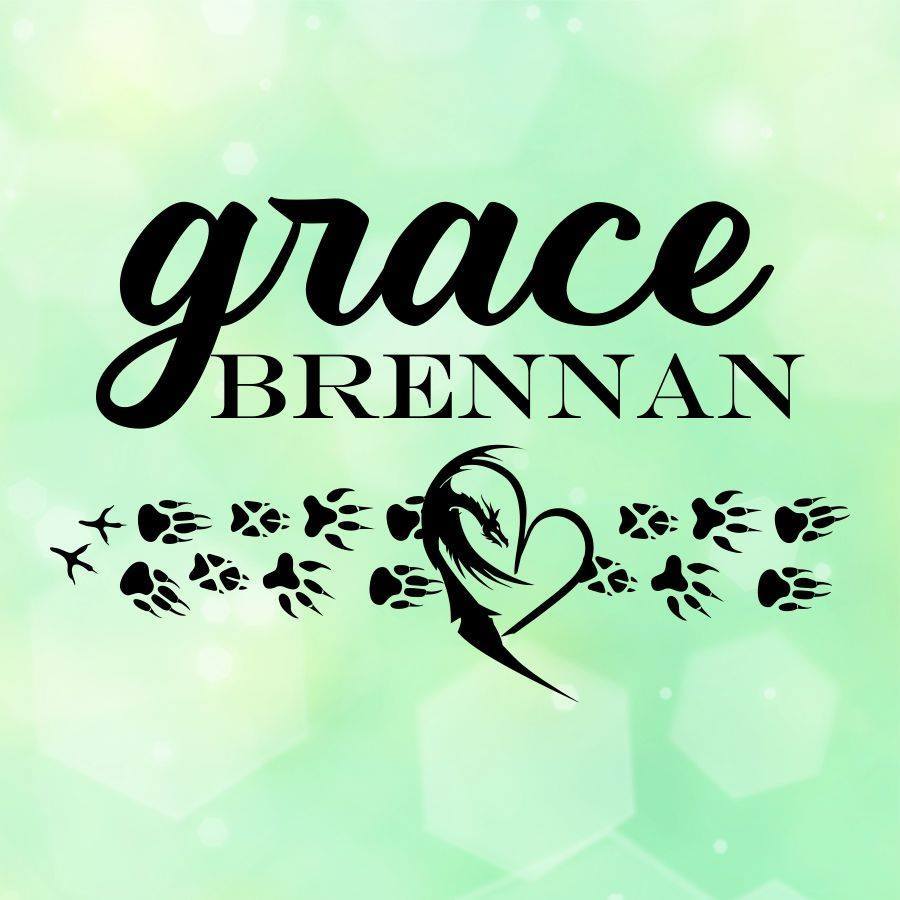 27545363_407814442987495_9147642495161238299_n