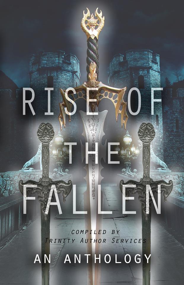 36596355_1717939351647364_1022160692704182272_n