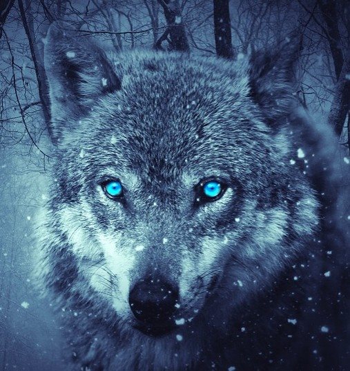 39144084_2278630462151246_7251342188057985024_n (1)