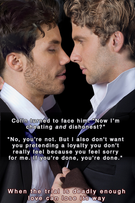 Gay themed romance novel cover images for a special collection.