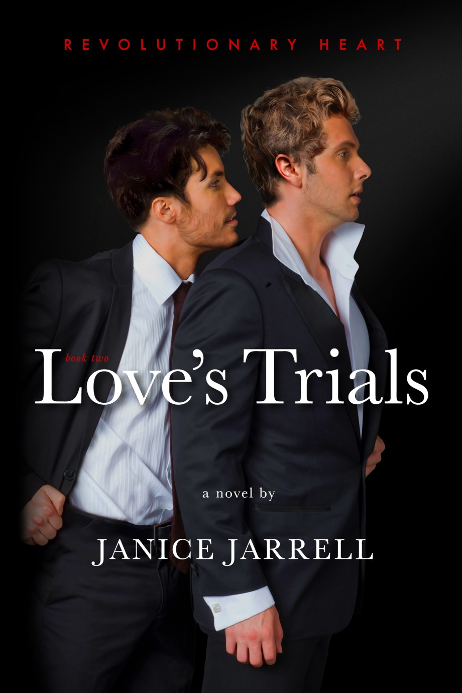 Gay themed romance novel cover images for a special collection.