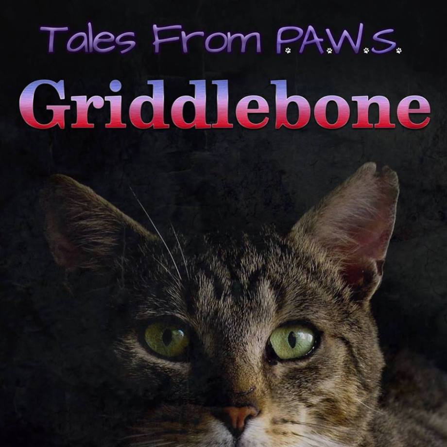 12141512_881749858604439_20870965501264272_n