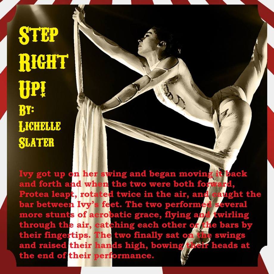 16864945_246203789164643_49322188050763135_n