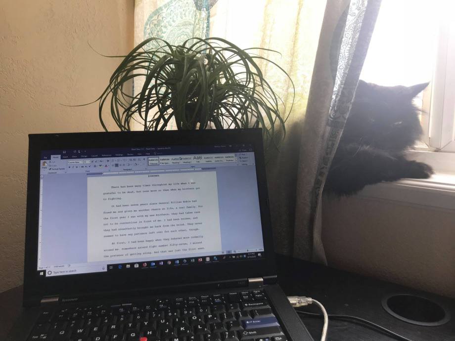 37318906_1025510224294342_6584807952853499904_o