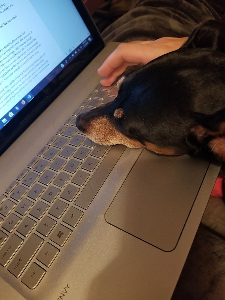 37322713_997055623786144_8685374718141792256_n