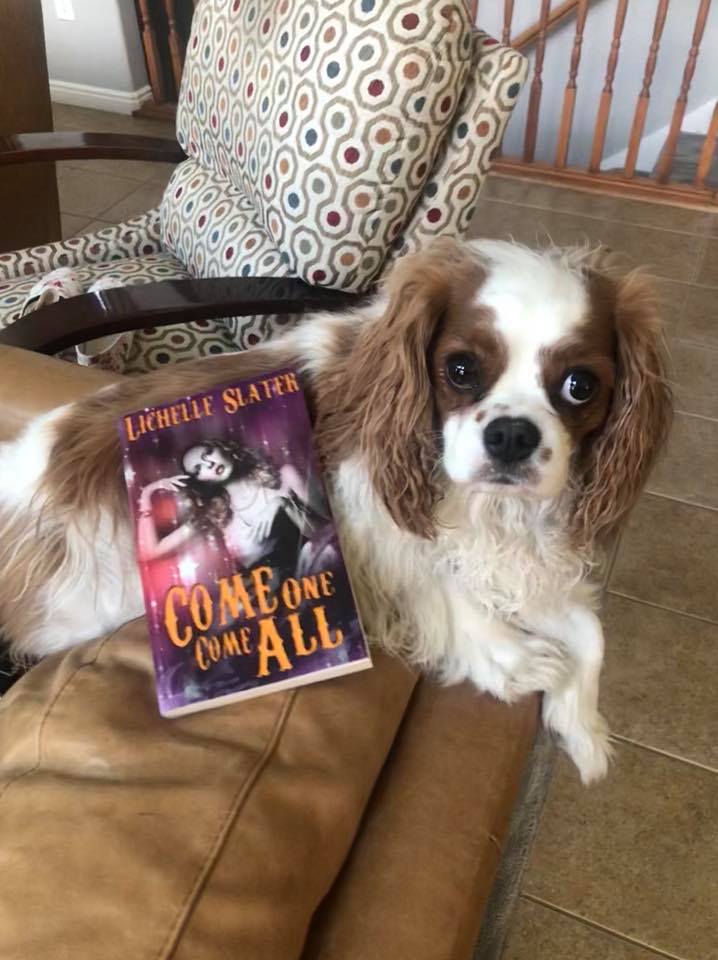 40272864_517374285380924_4664745924143087616_n