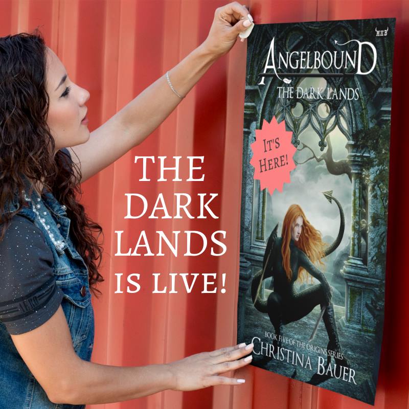 42528408_2295947660478204_4871883336311635968_n