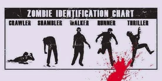 11329774_1625384311037906_551869960716079537_n