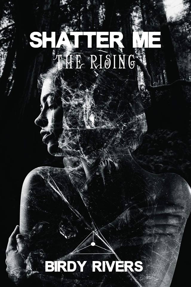 17903848_289180541521170_8270668542790907436_n