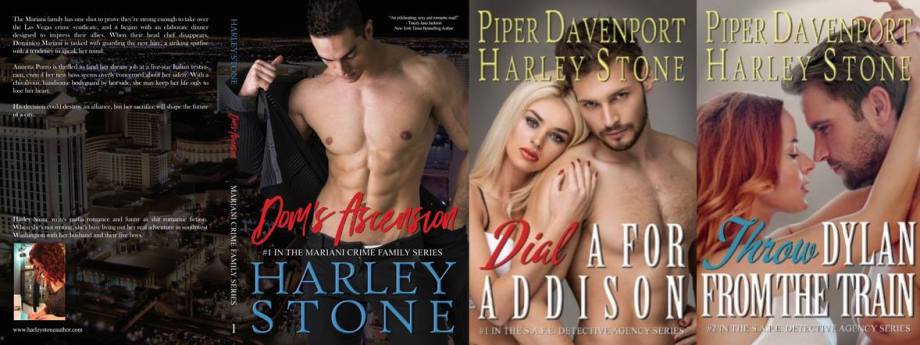 23467083_1546048738827314_2920398352145423627_o