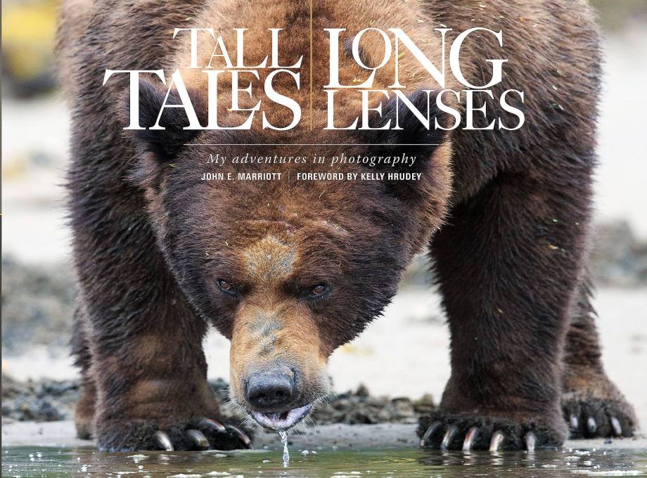 37792546_10155624650486778_8628194023233814528_o