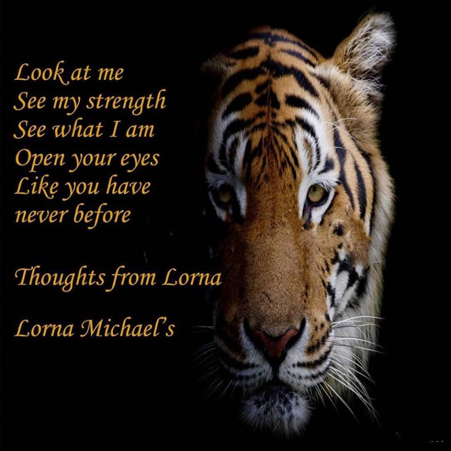 40063691_698612710492779_2248042000769089536_n