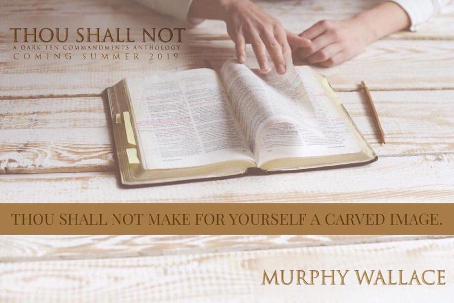 40352632_697315420604588_7978915338832052224_n