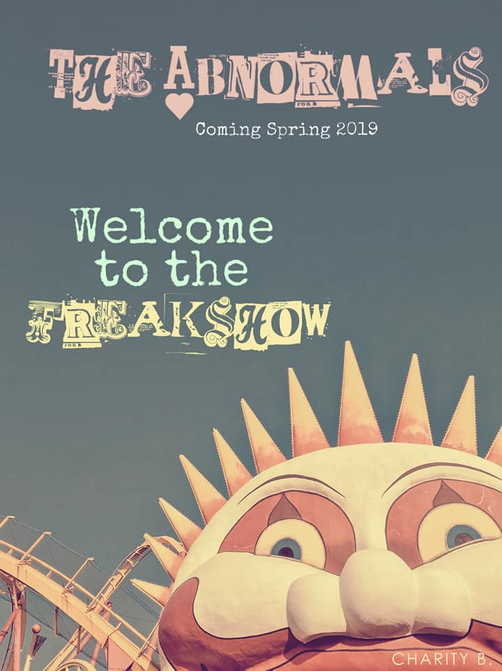 40662305_1961572807233400_1923781453208879104_n