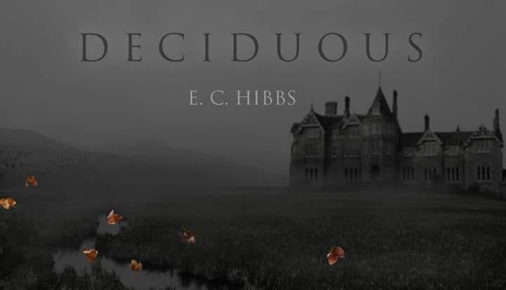 41192006_2289687184380249_7978305870087847936_n