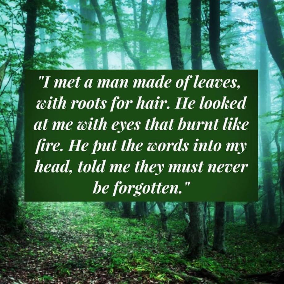 41448733_475006692975410_148816867299950592_n