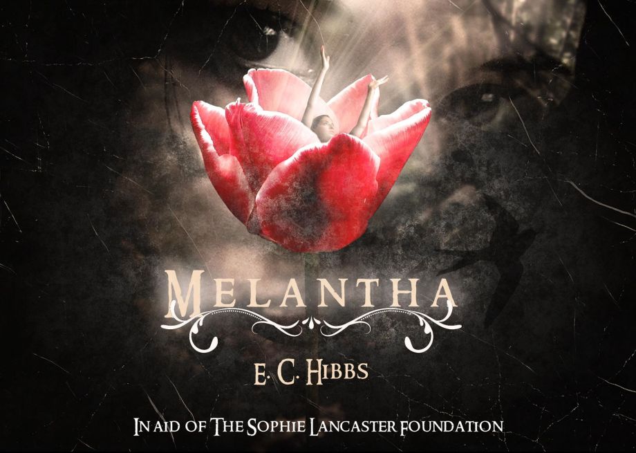 43788177_2149544745333187_4683898115323854848_n