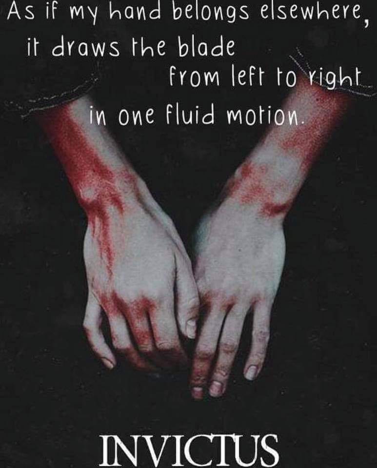 44602343_753021838374749_4335799172125949952_n