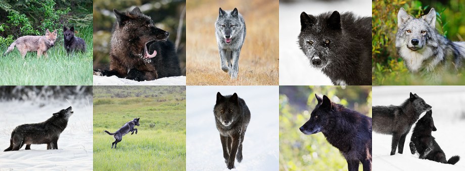 861008_10151285528251778_941639652_o