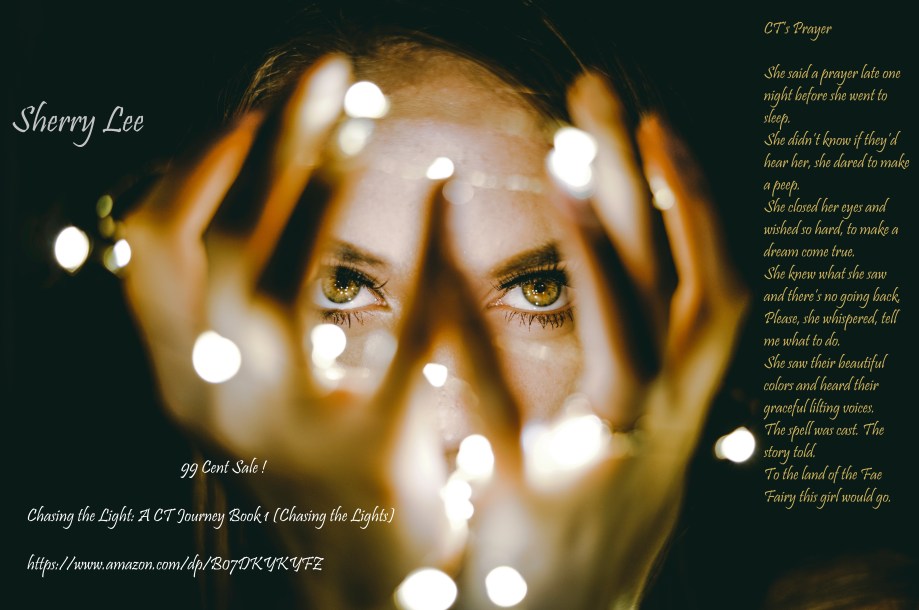 CT blerb cover lights[5251]Terra