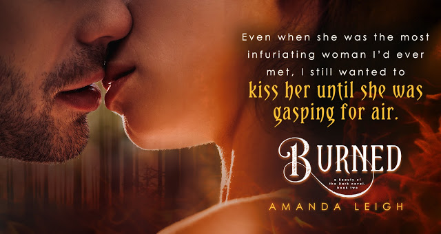 BurnedTeaser3.jpg