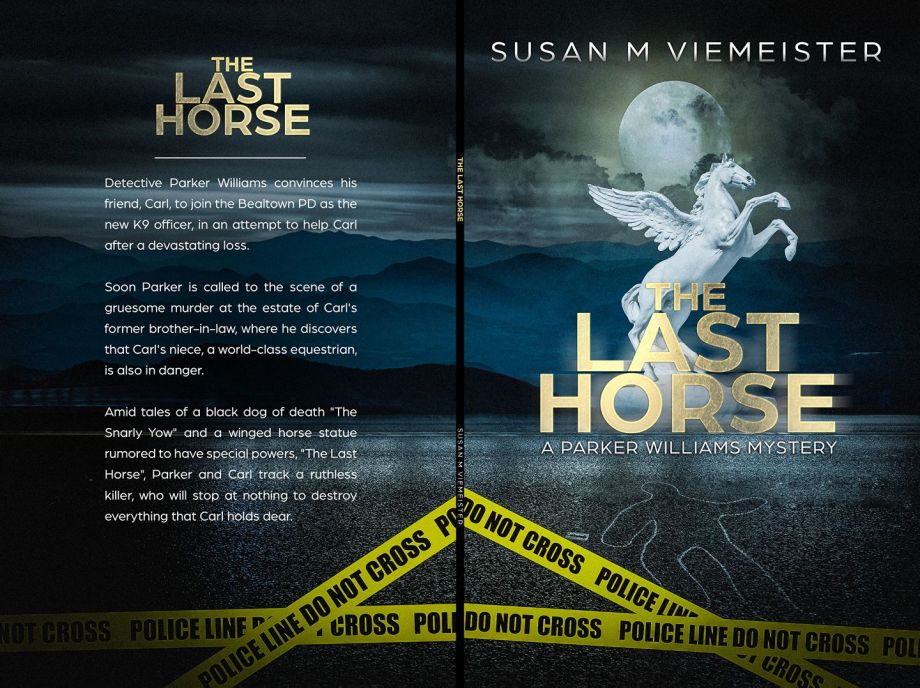 20157992_1911818235697121_3768089330646548364_o