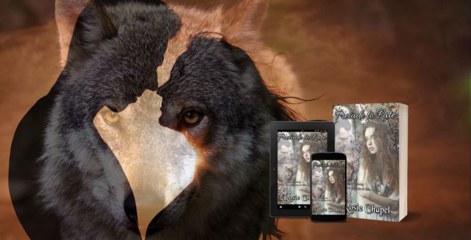 39289348_842740735926631_3009739272300265472_o