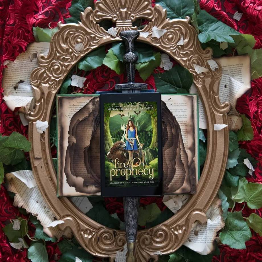 43648039_1859050644178458_2758035316668366848_n