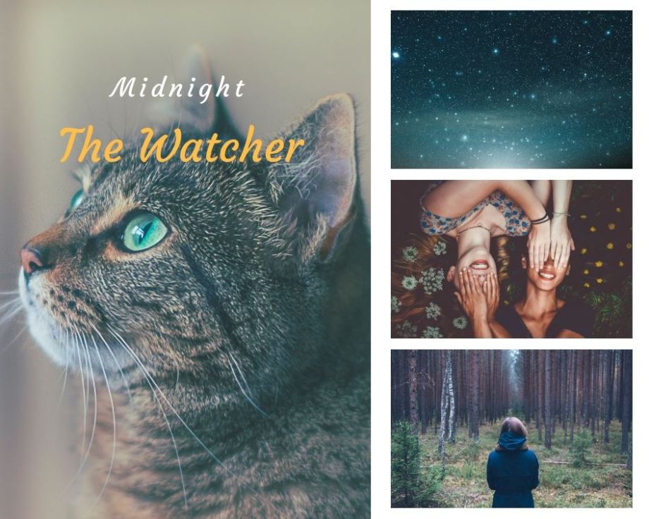 43951105_346280392774643_3661526350746877952_n