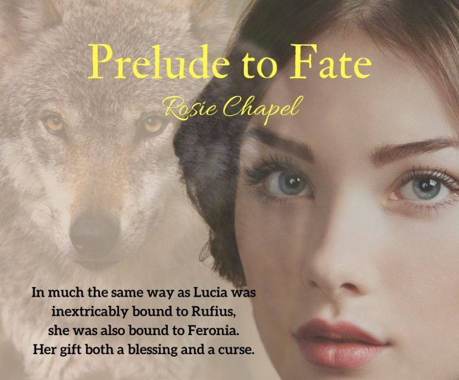 44044632_879445238922847_792305158397624320_n