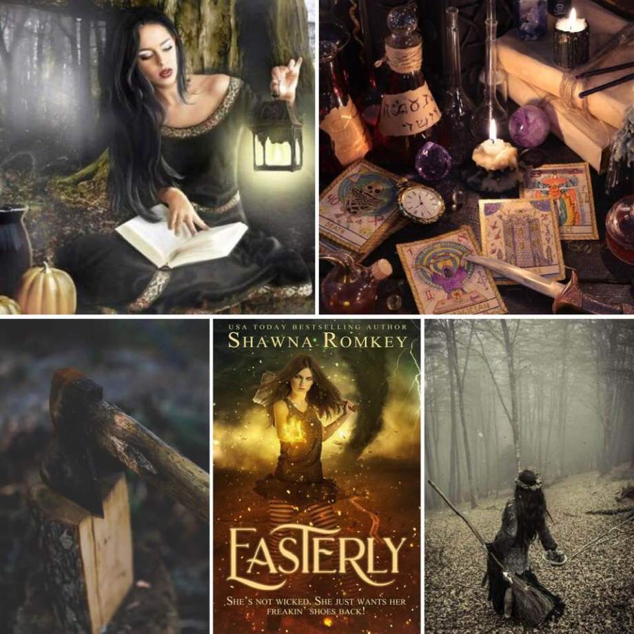 44530630_10156494108366539_1492407530842750976_n