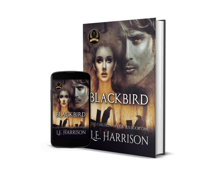 Blackbird 2 - Mockup