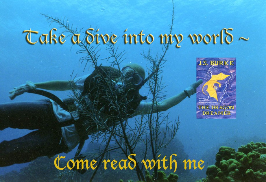 DRAGON DREAMER BANNER DIVER J.S. Burke COME READ #1