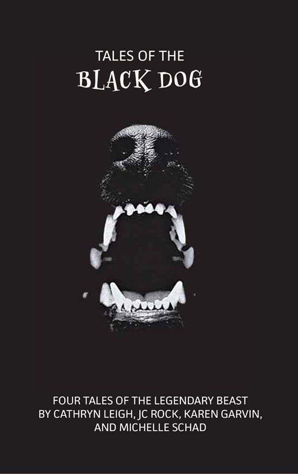 30704972_221596881944400_565165301847556096_n