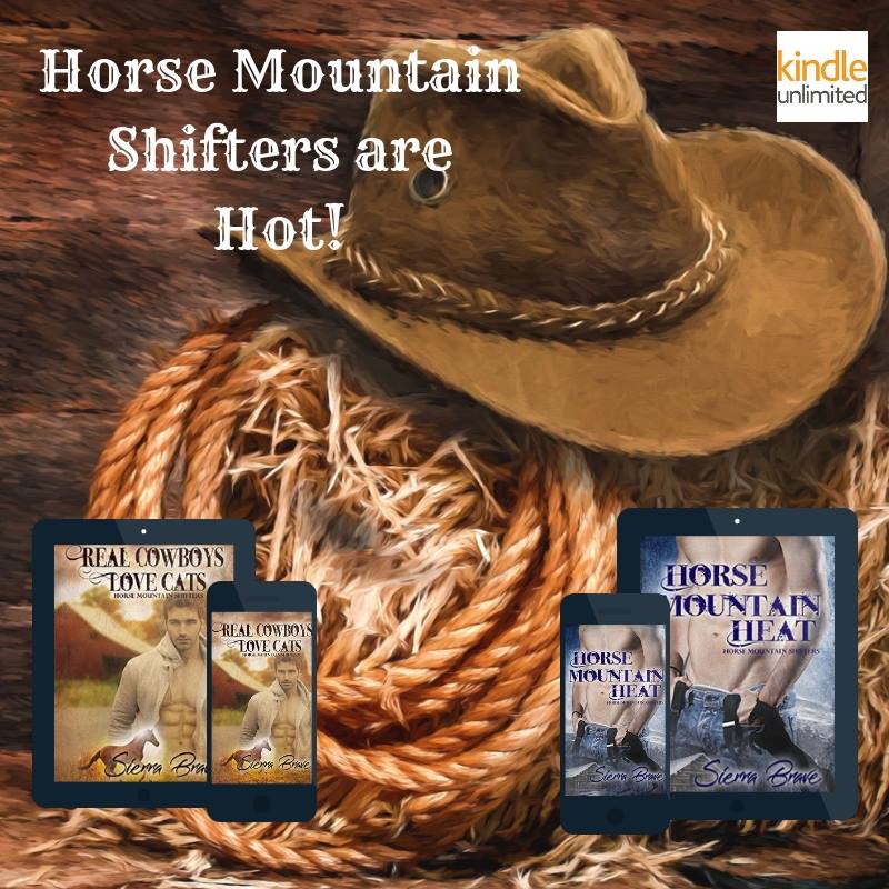 46503208_1938283213135082_4894558306913222656_n