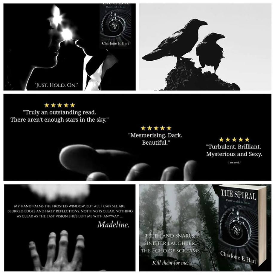 49745616_2086964598050171_1087540935446757376_n