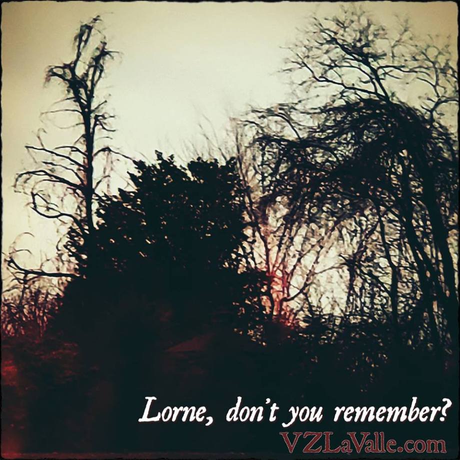 49592302_2289354574677219_3895362465038336000_n