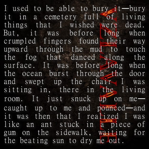 49656383_2288066334806043_7871950466815361024_n