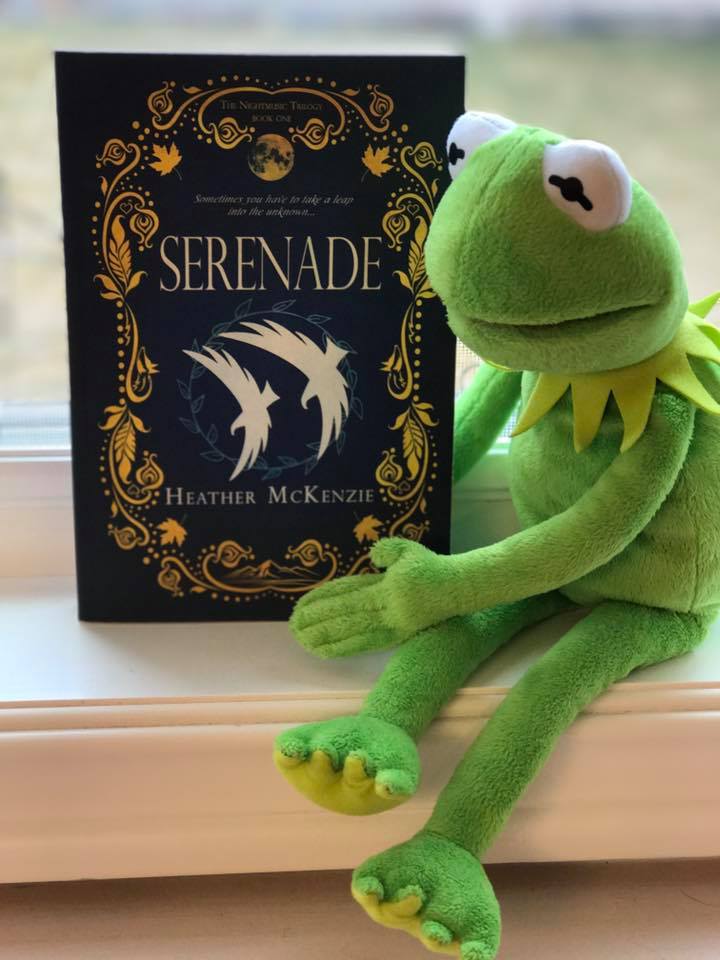 17904294_678792198971381_6569809518726913114_n